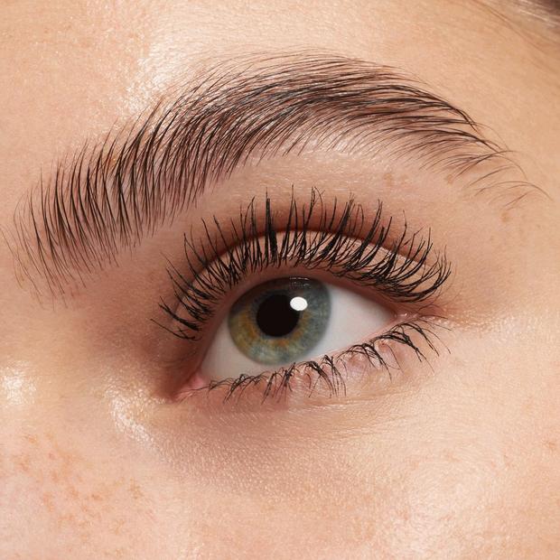 Lash PRINCESS false lash effect mascara