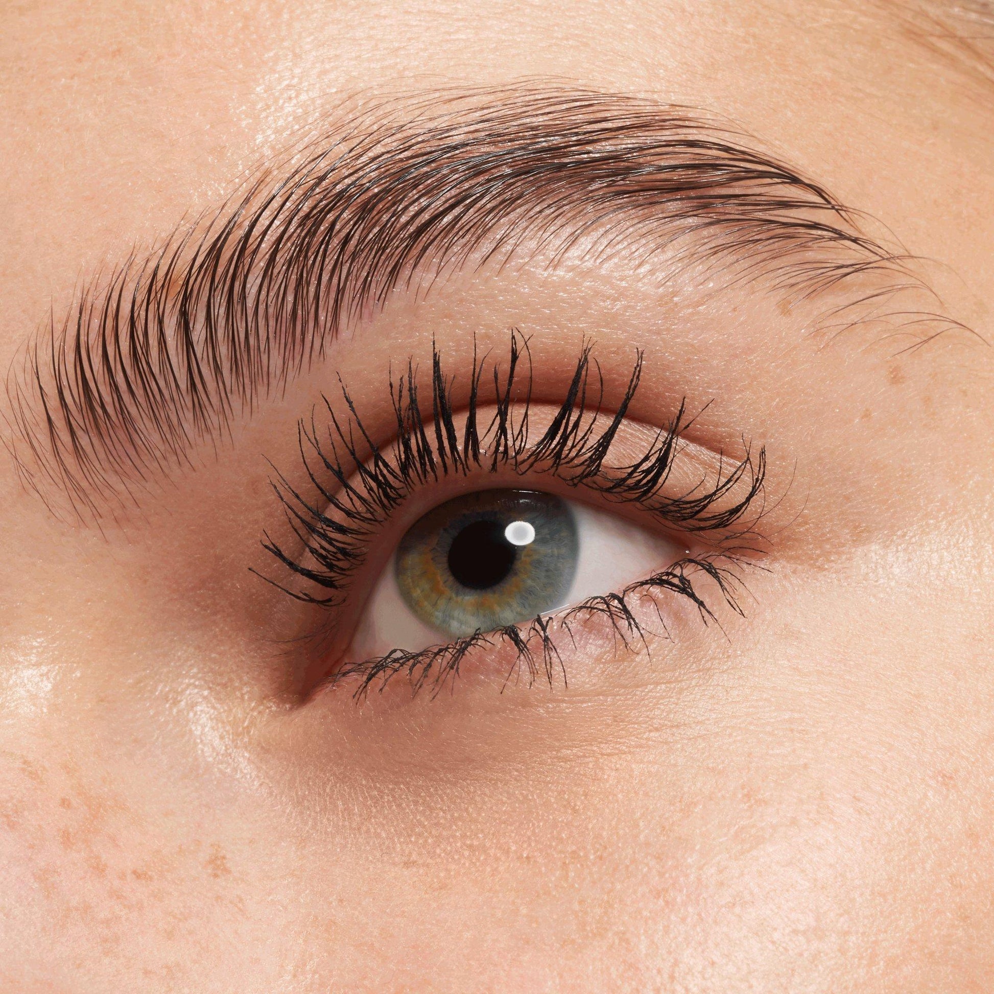 Lash PRINCESS false lash effect mascara waterproof