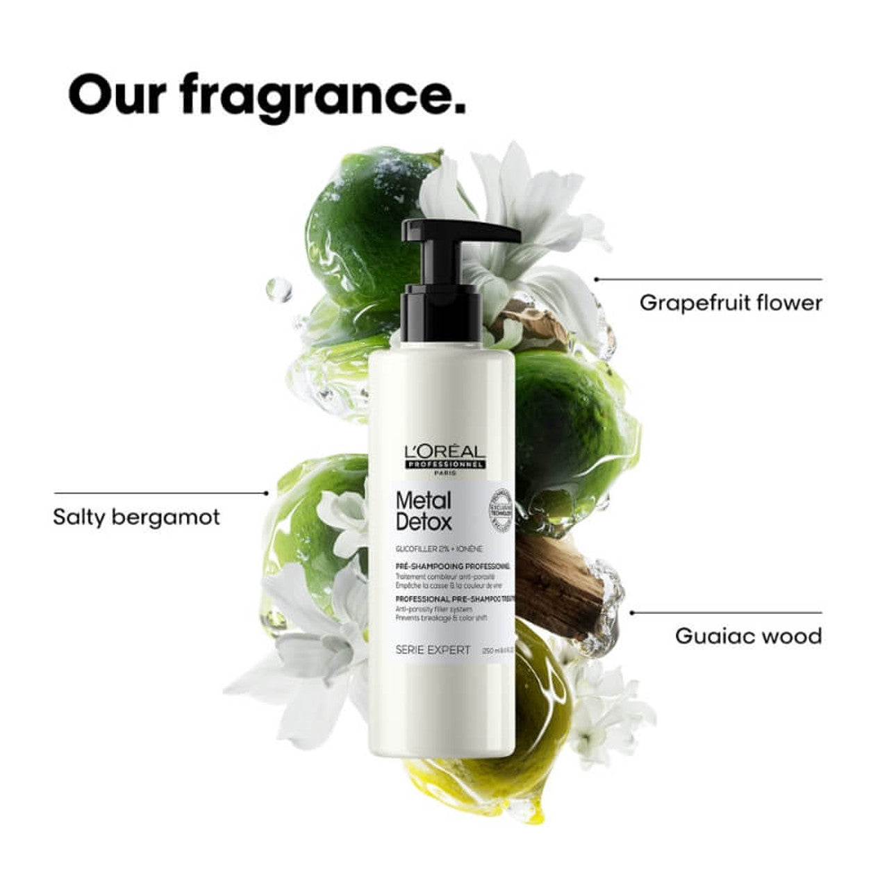 L'Oréal Professionnel Metal Detox Anti-Porosity Filler Pre-Shampoo Treatment 250ml